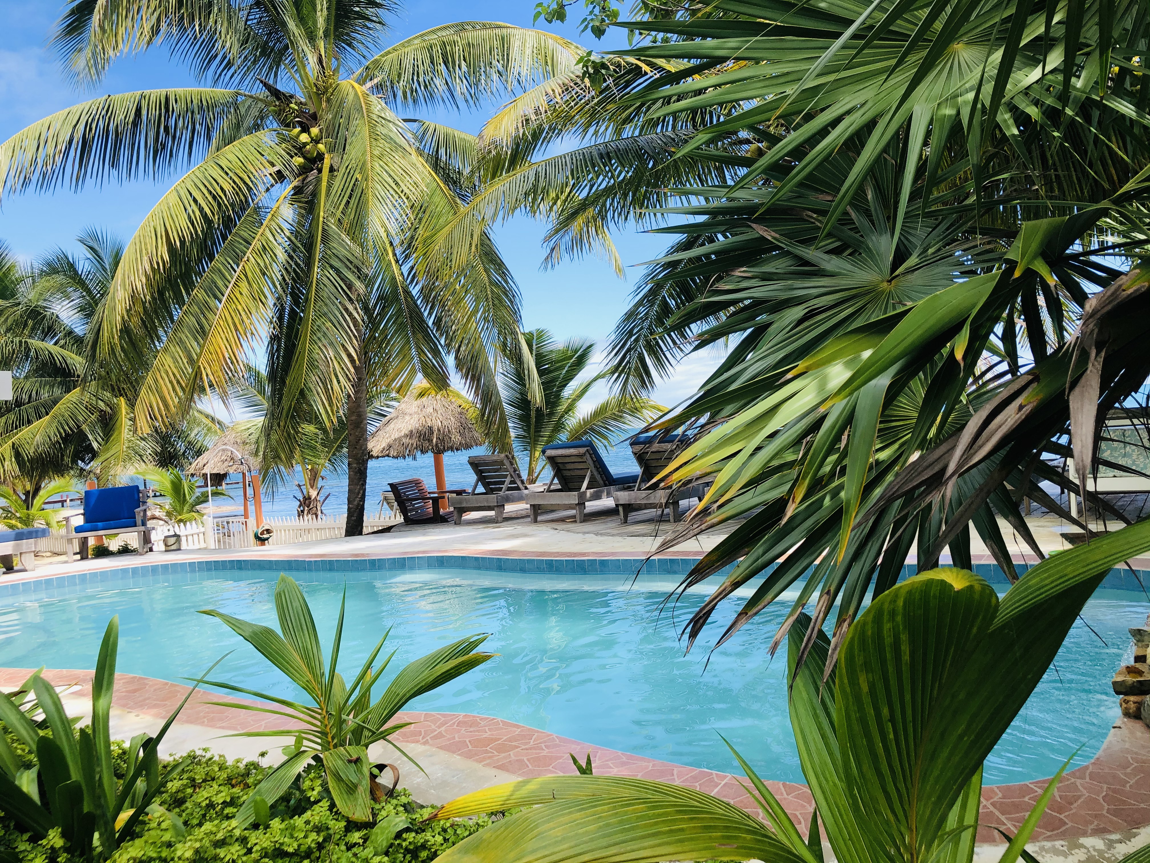 Coral Cove Inn beachfront pool surrounded by tropical palms